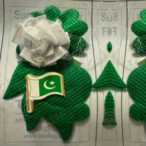 Pakistan Flag Plastic Badge