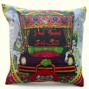 Pappu yar tang na kar Pakistani cushion