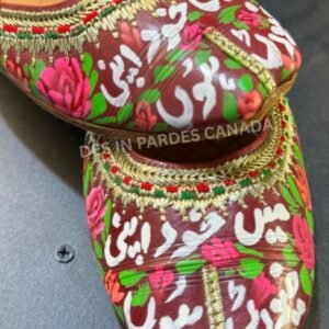 Hand-Painted Truck Art Apni favorite Khussa